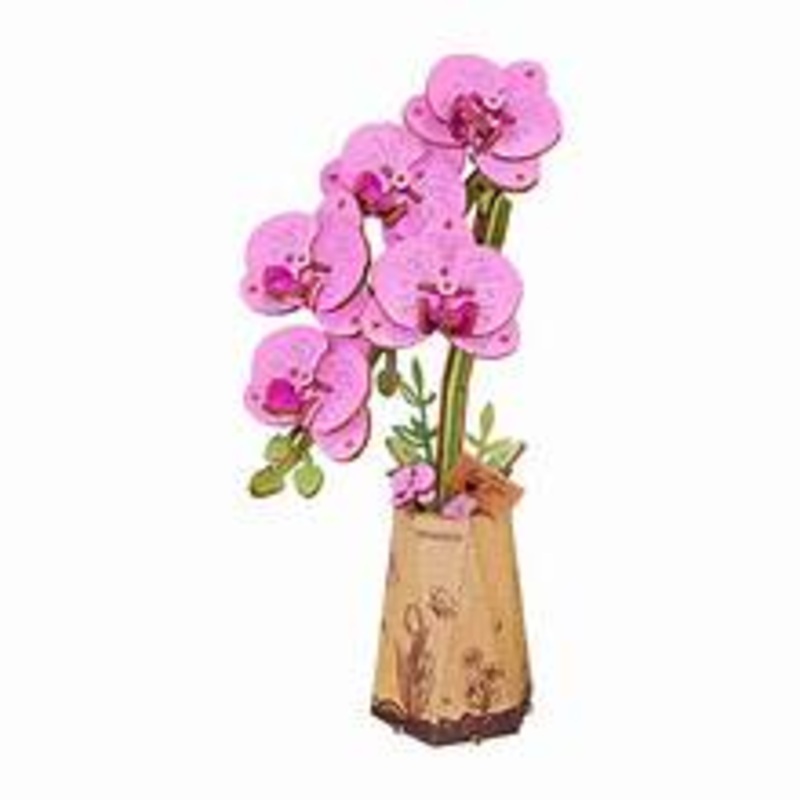 Purple Moth Orchid - 3D Miniature Scene