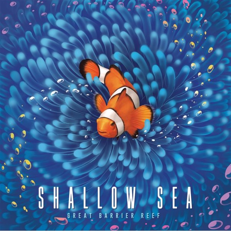 Shallow Sea - Reef Tier (Crowdfunded)