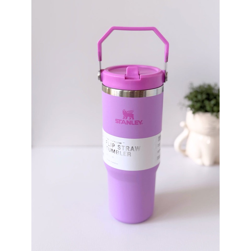 Stanley IceFlow Flip Straw Tumbler | 887ml with Straw for Water (30 oz) (Purple)