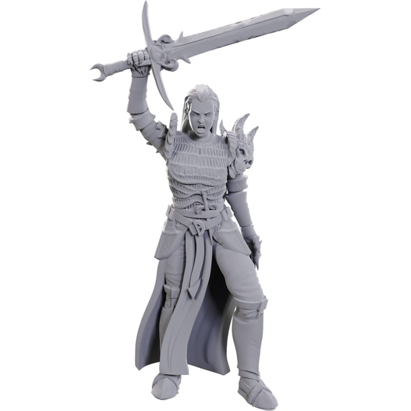 D&D Nolzur's Marvelous Miniatures: W25 Blackguard [Unpainted]